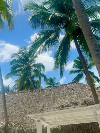 Saona Island , Dominican Republic в июле — фото погоды (2026-07-09)