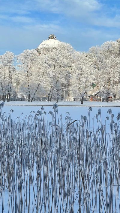 Светлогорск в январе — фото погоды (2026-01-09)
