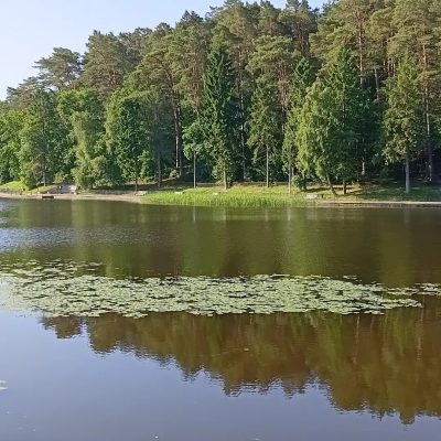 Озеро Тихое в июне — фото погоды (2026-06-27)