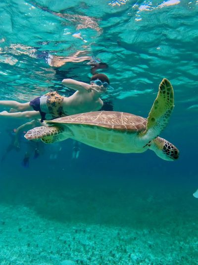 The Westin Cozumel в апреле — фото погоды (2026-04-28)