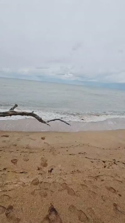 Черное Море в июне — фото погоды (2026-06-01)