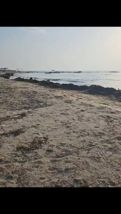 Plage Sonia в августе — фото погоды (2025-08-26)