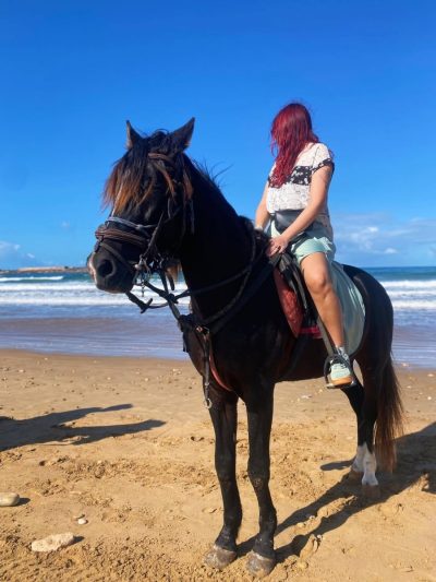 Essaouira Beach в ноябре — фото погоды (2025-11-18)