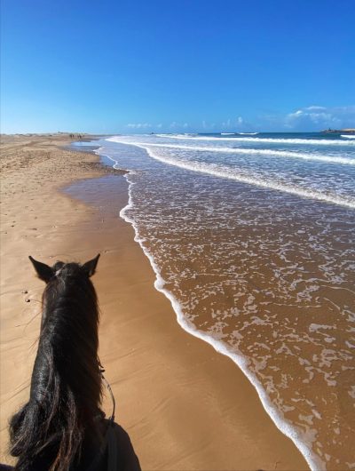 Essaouira Beach в ноябре — фото погоды (2025-11-18)