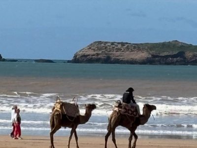 Essaouira Beach в декабре — фото погоды (2025-12-30)