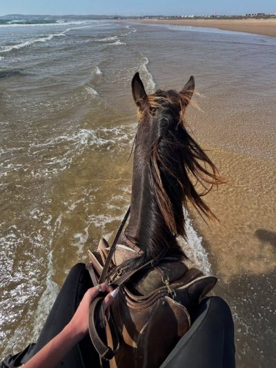 Essaouira Beach в июне — фото погоды (2026-06-14)