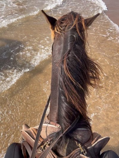 Essaouira Beach в июне — фото погоды (2026-06-14)