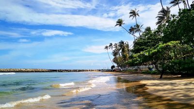 Dickwella Beach в январе — фото погоды (2026-01-20)