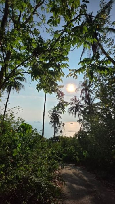 Koh Samui Island, Thailand в апреле — фото погоды (2026-04-06)