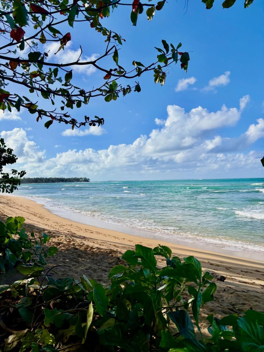 Погода в Samana Bay
