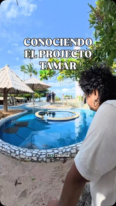 Projeto Tamar в июне — фото погоды (2026-06-27)