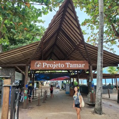 Projeto Tamar в июне — фото погоды (2026-06-30)