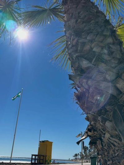 Benamaldena, Costa del Sol в феврале — фото погоды (2026-02-17)