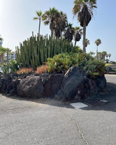 Playa De Las Américas Tenerife, Islas Canarias в июле — фото погоды (2026-07-09)