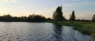 Борисцево (Торжокский район) в июне — фото погоды (2024-06-18)
