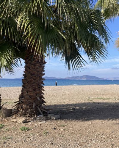 Bodrum Turgutreis Akyarlar в ноябре — фото погоды (2025-11-09)