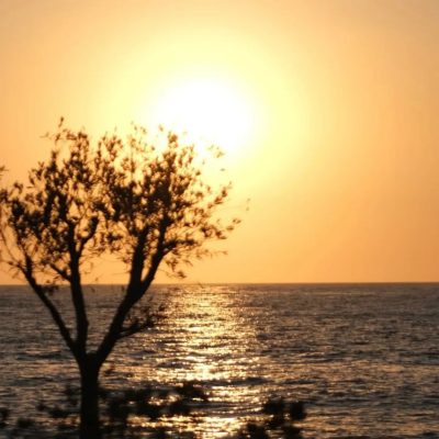 Bodrum Turgutreis Akyarlar в феврале — фото погоды (2026-02-24)