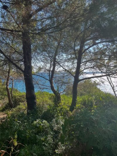Island Hotel Istra - Rovinj — фото погоды в августе (2025-08-24)