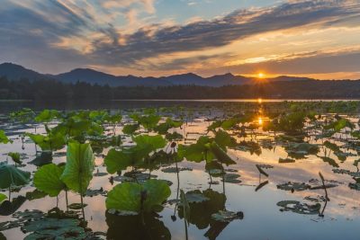 West Lake (Xihu) Hangzhou, Zhejiang China в июле — фото погоды (2026-07-17)