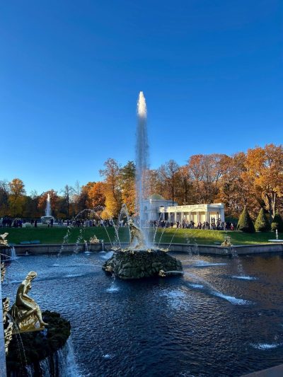 Peterhof Fountains в ноябре — фото погоды (2025-11-16)