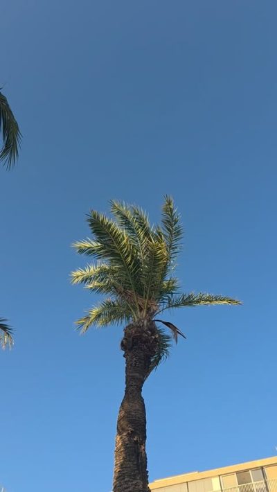 Salou, Barcelona в июне — фото погоды (2026-06-30)