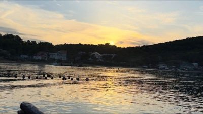 Остров Попова в сентябре — фото погоды (2025-09-17)