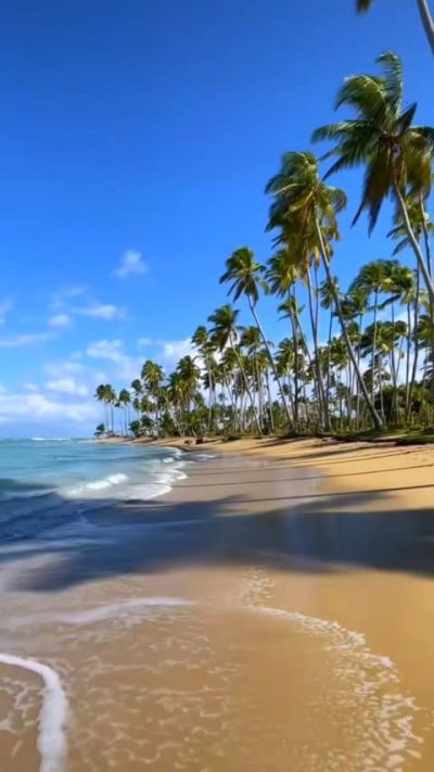 Playa Bonita, Samaná, Dominican Republic в феврале — фото погоды (2026-02-26)