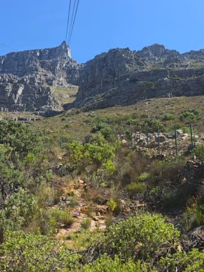 Table Mountain, Cape Town в январе — фото погоды (2026-01-01)