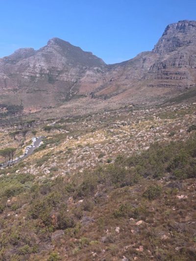 Table Mountain, Cape Town в январе — фото погоды (2026-01-01)