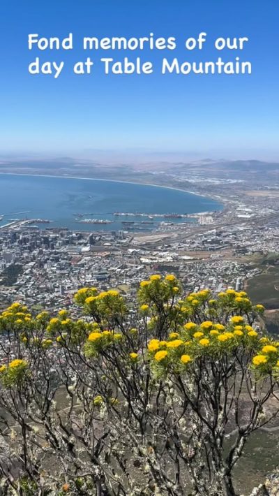 Table Mountain, Cape Town в январе — фото погоды (2026-01-04)