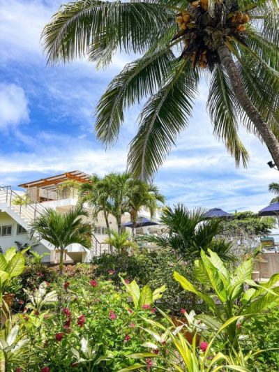 Praslin Seychelles в январе — фото погоды (2026-01-30)