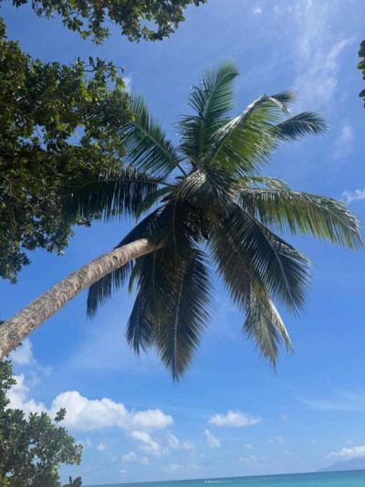 Praslin Seychelles в июне — фото погоды (2026-06-29)