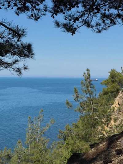 Краснодарский край в мае — фото погоды (2026-05-10)