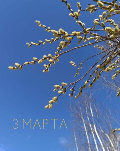 ИКЦ в марте — фото погоды (2026-03-02)