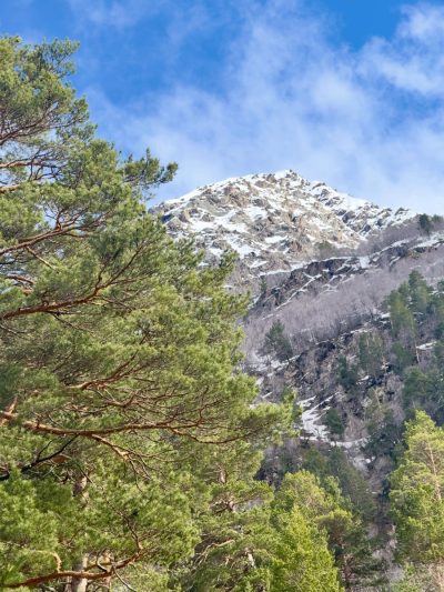 Гора Чегет в мае — фото погоды (2026-05-15)