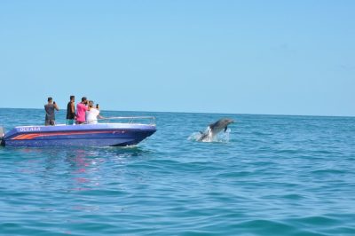 Aldiana Djerba Atlantide в октябре — фото погоды (2025-10-10)