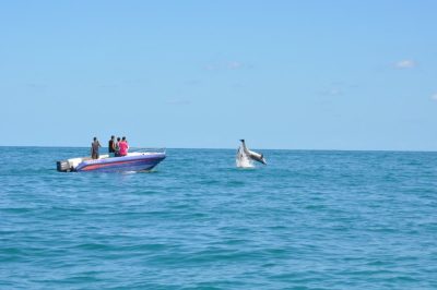 Aldiana Djerba Atlantide в октябре — фото погоды (2025-10-10)