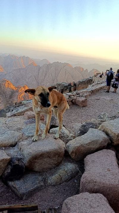 Sinai в сентябре — фото погоды (2025-09-10)