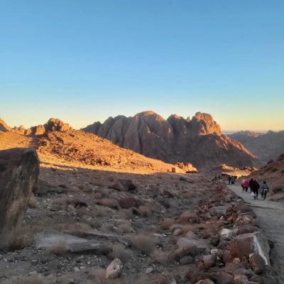 Sinai в марте — фото погоды (2026-03-25)