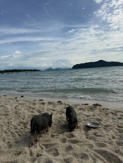 Koh Mudsum в июне — фото погоды (2026-06-30)