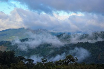 Monte Verde Cloud Forest, Costa Rica в июле — фото погоды (2026-07-10)