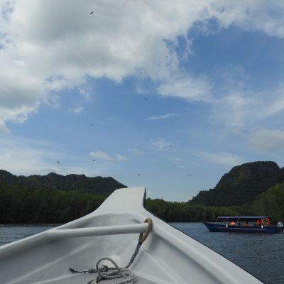 Langkawi Mangroves (Kilim River Cruise) в июле — фото погоды (2025-07-05)