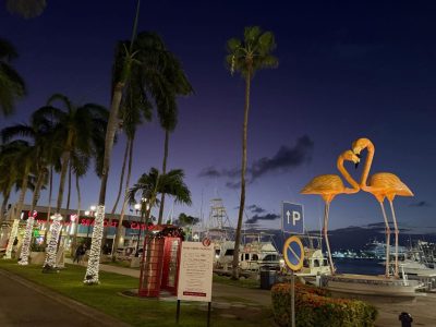 Aruba Flamingo Island в декабре — фото погоды (2025-12-28)