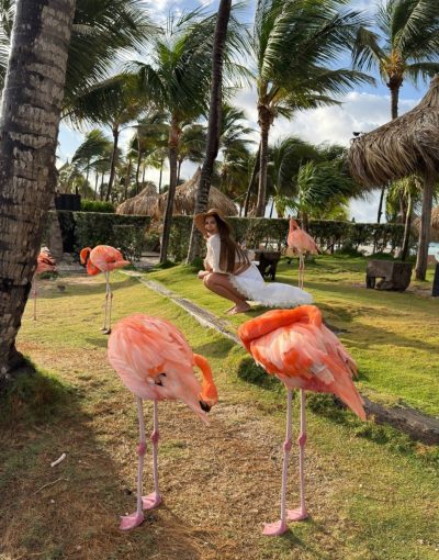 Aruba Flamingo Island в декабре — фото погоды (2025-12-29)
