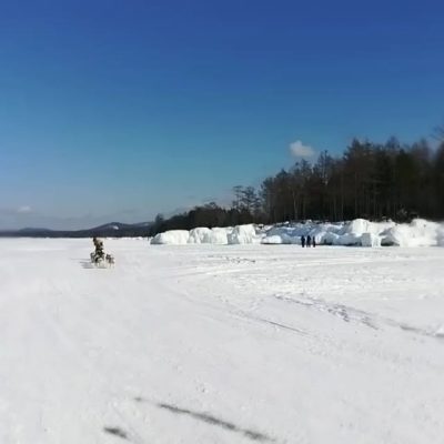 Валун "Черепаха" в марте — фото погоды (2020-03-08)