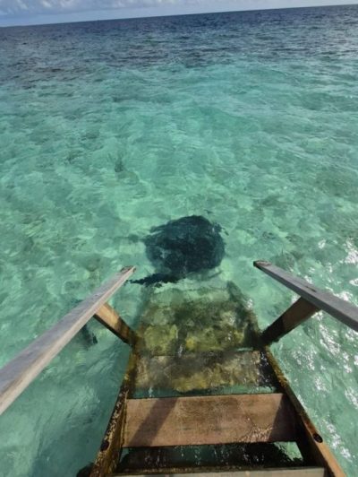 Safari Island в сентябре — фото погоды (2025-09-27)