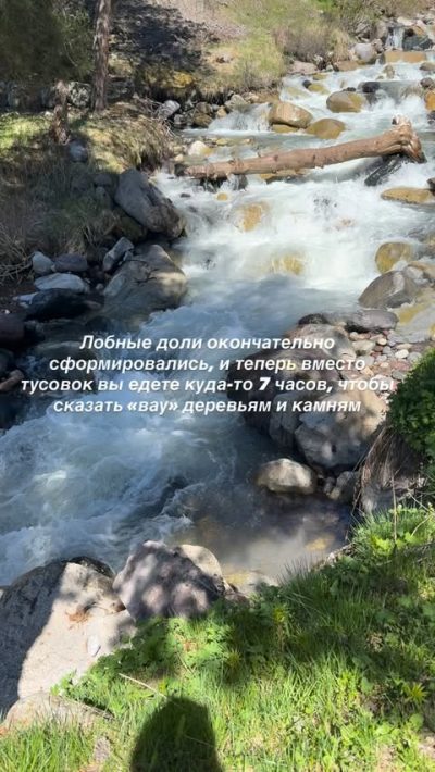 Эльбрус в июне — фото погоды (2026-06-08)
