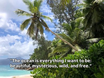 Baie Lazare. Mahe, Seychelles в ноябре — фото погоды (2025-11-11)