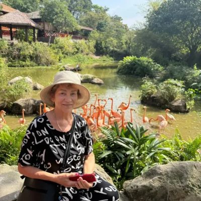 Vinpearl Safari Phú Quốc в феврале — фото погоды (2026-02-26)