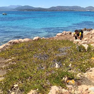 Isola Di Tavolara в июле — фото погоды (2026-07-17)
